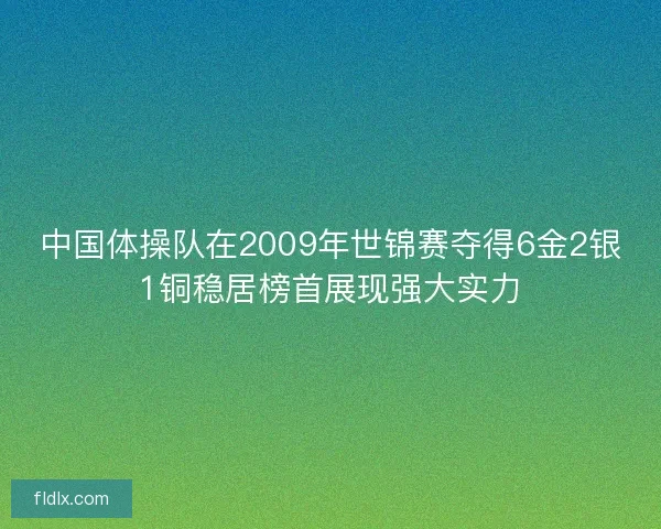 中国体操队在2009年世锦赛夺得6金2银1铜稳居榜首展现强大实力