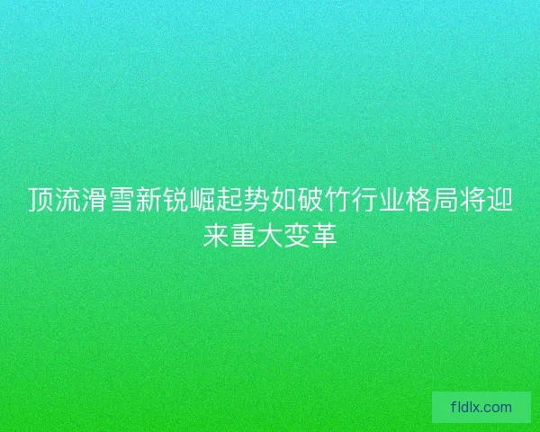 顶流滑雪新锐崛起势如破竹行业格局将迎来重大变革